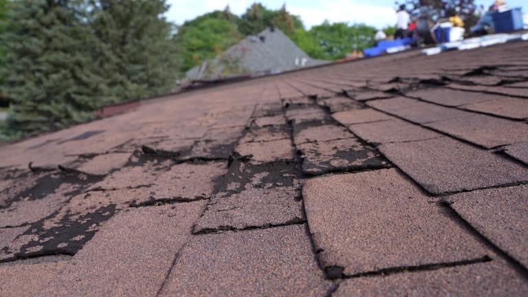 Best Cold Roofs  in Ridgewood, IL