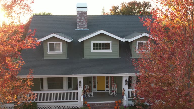 Best Chimney Flashing Repair  in Ridgewood, IL
