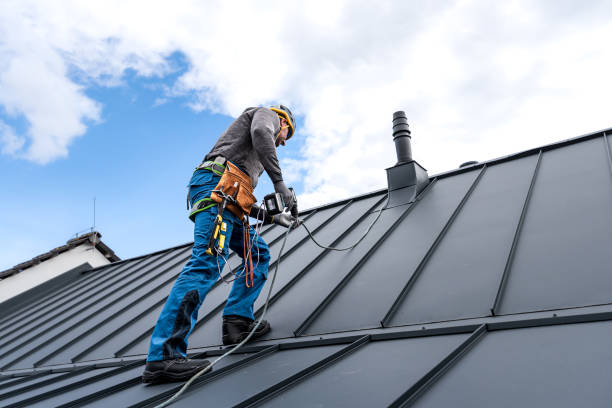 Best Roof Leak Repair  in Ridgewood, IL