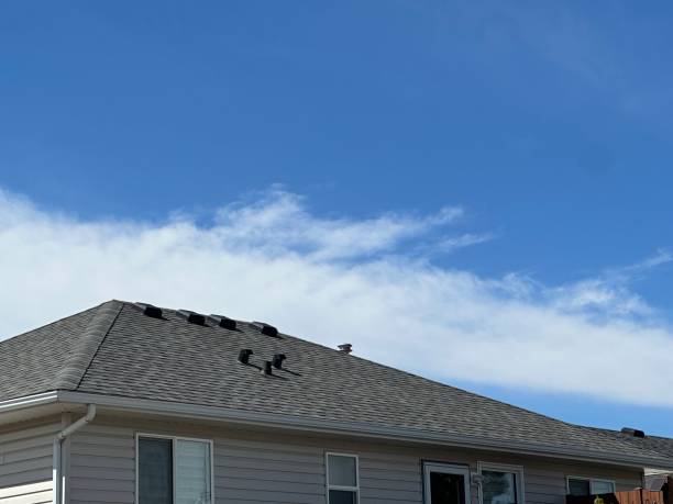 Best 4 Ply Roofing  in Ridgewood, IL